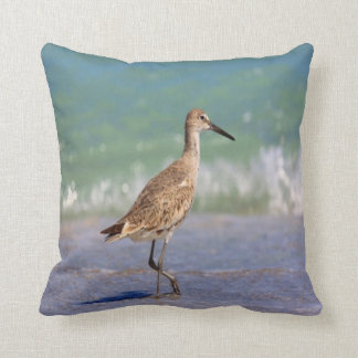 bird photo #18-shore bird cushion