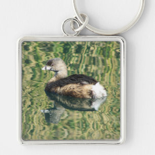 Bird Photo Little Grebe Water Reflection Nature Key Ring