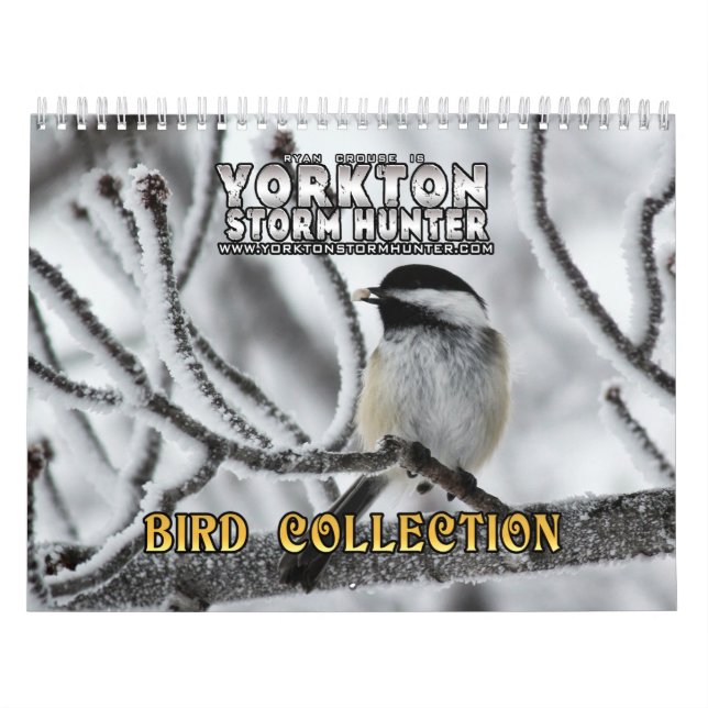 Bird Photography Collection Calendar (Cover)