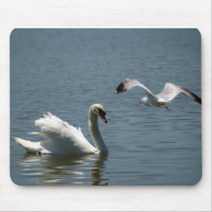 Bird Playing With Swan Mouse Pad
