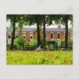 Bird Postcard