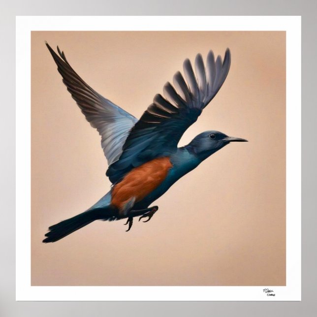Bird Poster (Front)