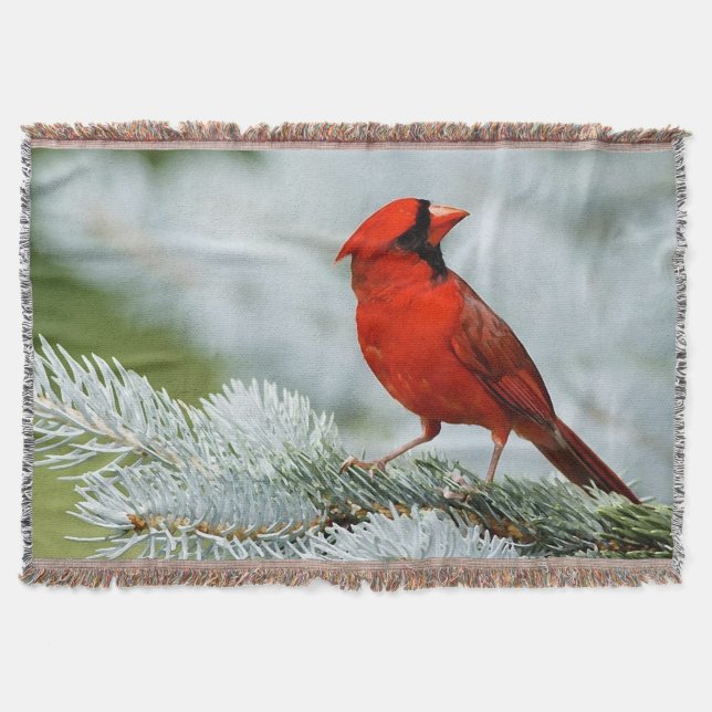Bird red_blanket manta throw blanket (Front)