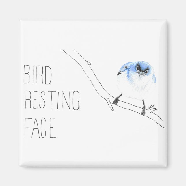 Bird Resting Face (Blue-grey Gnatcatcher) Magnet (Front)
