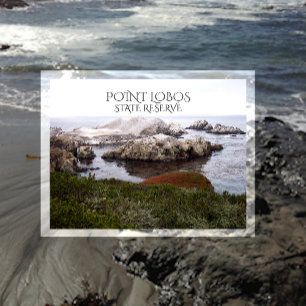 Bird Rock, Point Lobos State Reserve Postcard