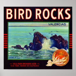 Bird Rocks Brand Orange Fruit Crate Label Poster