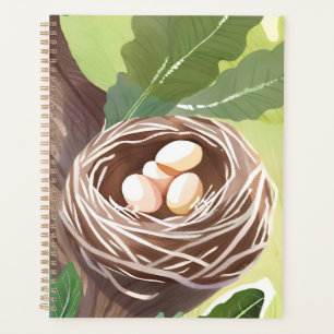 Bird’s Nest   Watercolor Eggs Nature Painting Planner