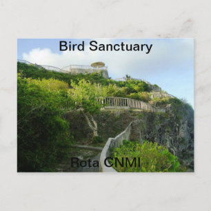 Bird Sanctuary Postcard
