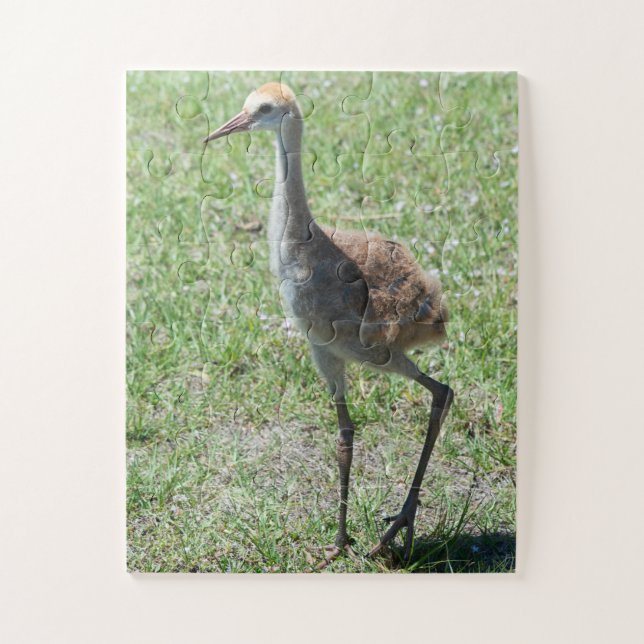 Bird Sandhill Crane Wildlife Photography Nature Jigsaw Puzzle (Vertical)
