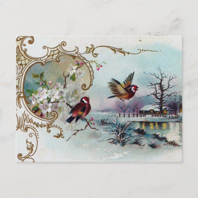 Bird Scene Postcard (Front)