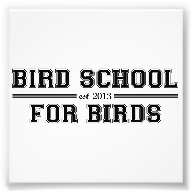 Bird School Which Is For Birds Photo Print (Front)