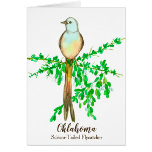 Bird Scissor Tailed Flycatcher Mistletoe Blank