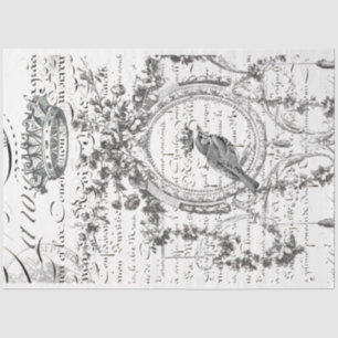 Bird Script Decoupage Paper