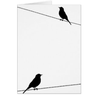 Bird Silhouettes on Wire