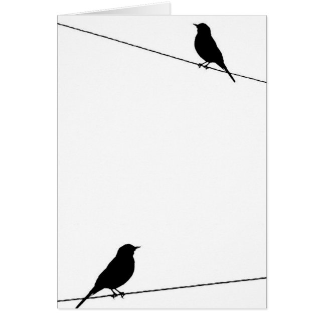 Bird Silhouettes on Wire (Front)