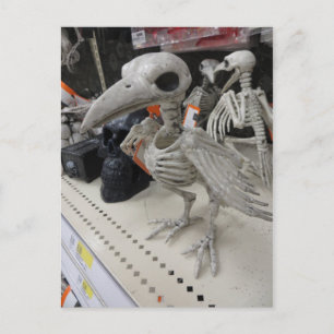 Bird Skeleton Decoration Postcard