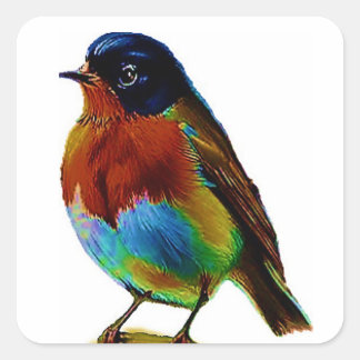 Bird Square Sticker