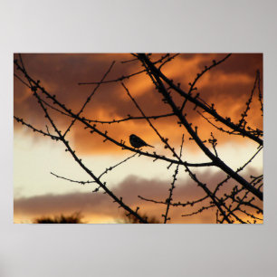 Bird standing on a tree with a sunrise in the back poster