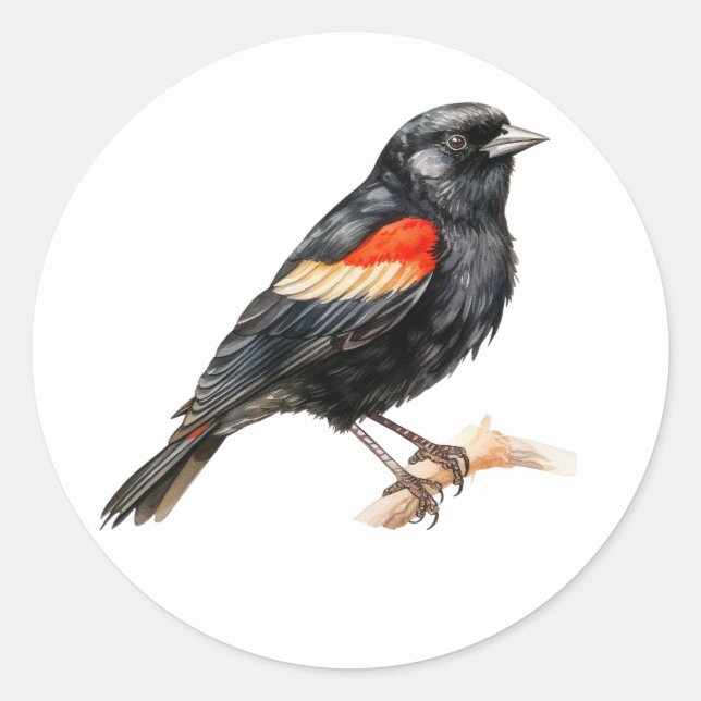 Bird Stickers Red-winged Blackbird (Front)