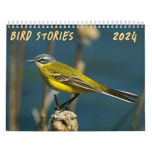 "Bird Stories" Bird photo calendar