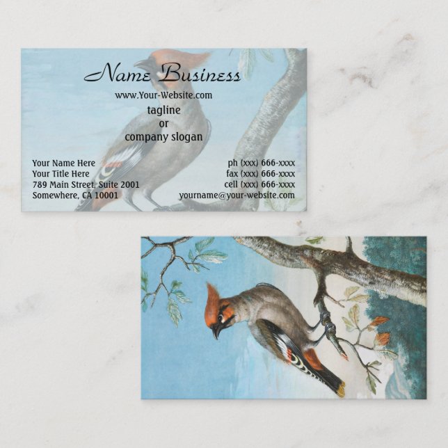  Bird Study by George Edwards (1694-1773) Business Card (Front/Back)
