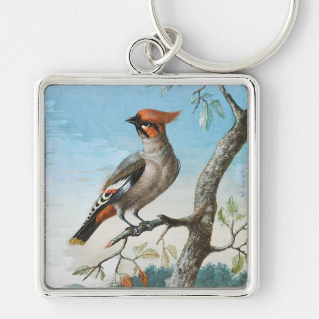  Bird Study by George Edwards (1694-1773) Key Ring (Front)