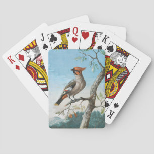 Bird Study by George Edwards (1694-1773) Playing Cards