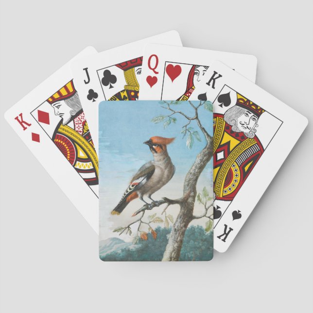  Bird Study by George Edwards (1694-1773) Playing Cards (Back)