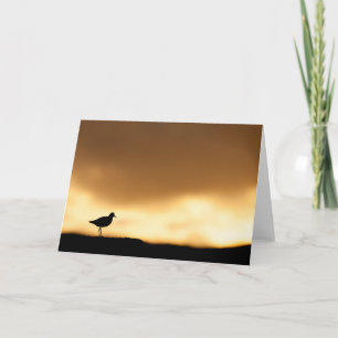 Bird Sunset Nature Photo Card