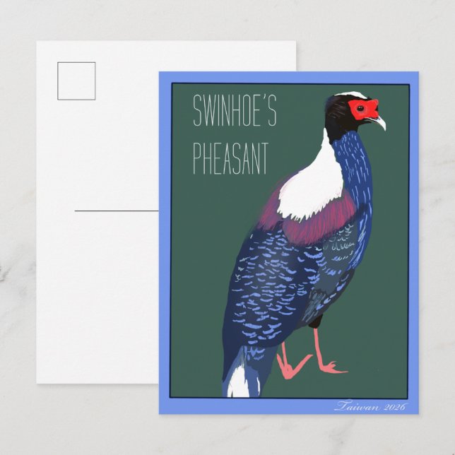 Bird -- Swinhoe's Pheasant Postcard (Front/Back)