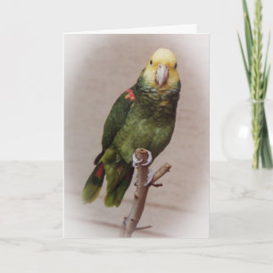 Bird Sympathy Card