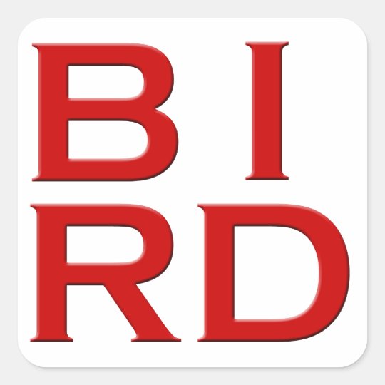 BIRD Text Art Square Sticker
