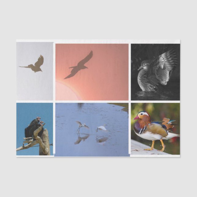  Bird Theme Crow Duck Condor Egret Mixed Media Tissue Paper (Front)