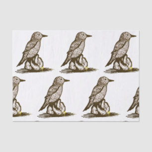 Bird tissue paper for decoupage