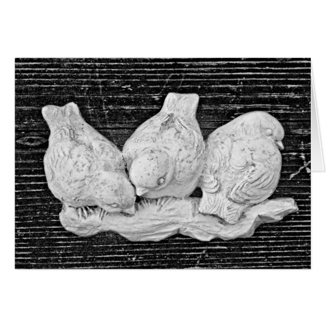 Bird Trio (Front Horizontal)