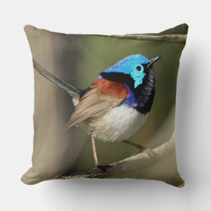 Bird - Variegated Fairywren Cushion