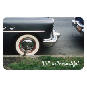 Bird Viewing Reflection in Chrome White Wall Tires Magnet