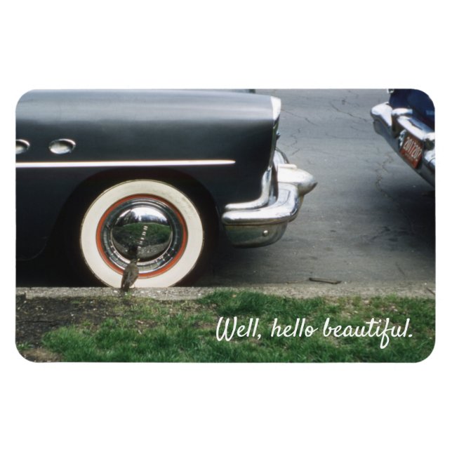 Bird Viewing Reflection in Chrome White Wall Tires Magnet (Horizontal)