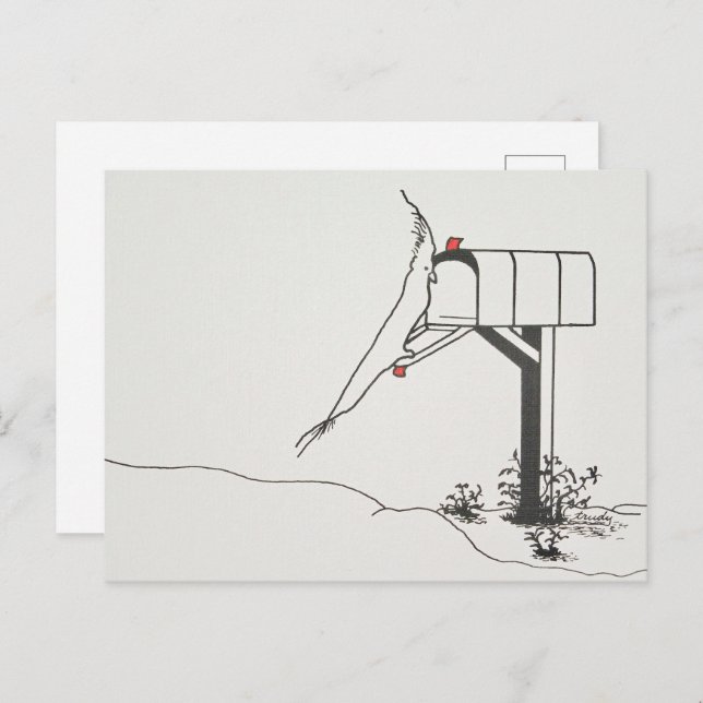 Bird Waiting for Mail at the Mailbox Postcard (Front/Back)