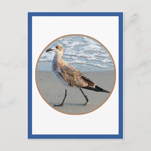 Bird Walks By Sea Circle Card (Front)