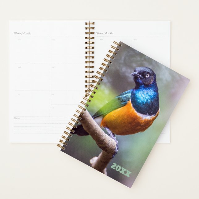 Bird Watcher Blue Orange Green Starling on a Limb Planner (Display)
