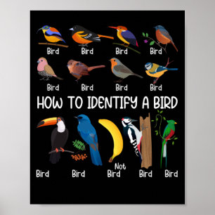 Bird Watcher How To Identify a Bird Unique Birder Poster