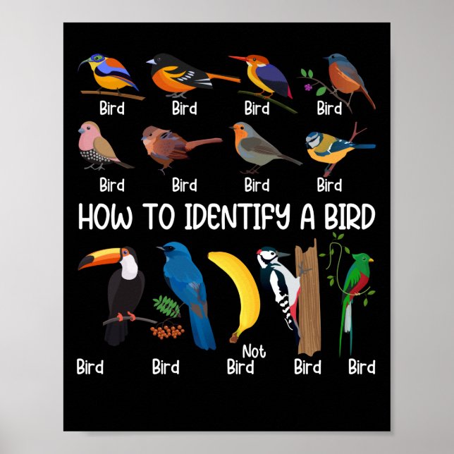Bird Watcher How To Identify a Bird Unique Birder Poster (Front)