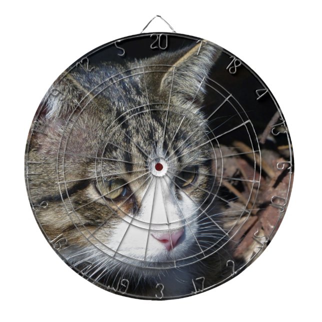 Bird Watching Dartboard (Front)
