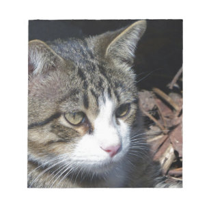 Bird Watching Notepad