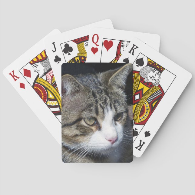 Bird Watching Playing Cards (Back)