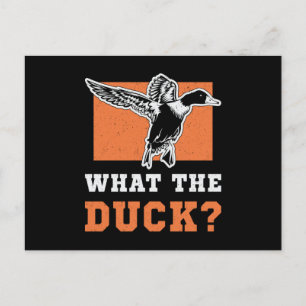 Bird Watching What The Duck Vintage Bird Watcher Postcard