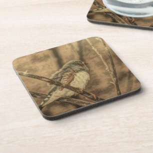 bird watching wilderness tree branches wild bird coaster