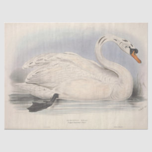 Bird White Swan Ephemera Decoupage Tissue Paper