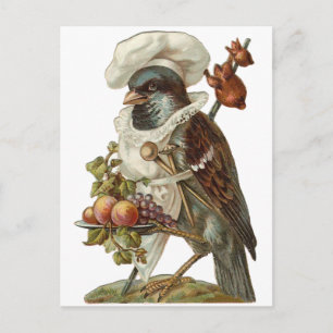 Bird with Food and Chef Hat Postcard